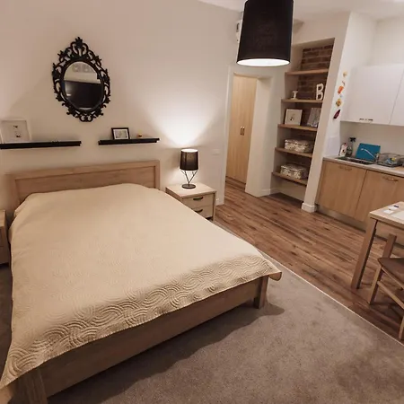 New In The Heart Of 2 Apartament *